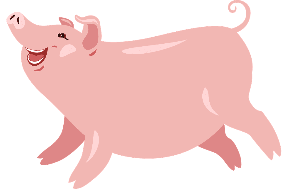 pigs-3902786_1280